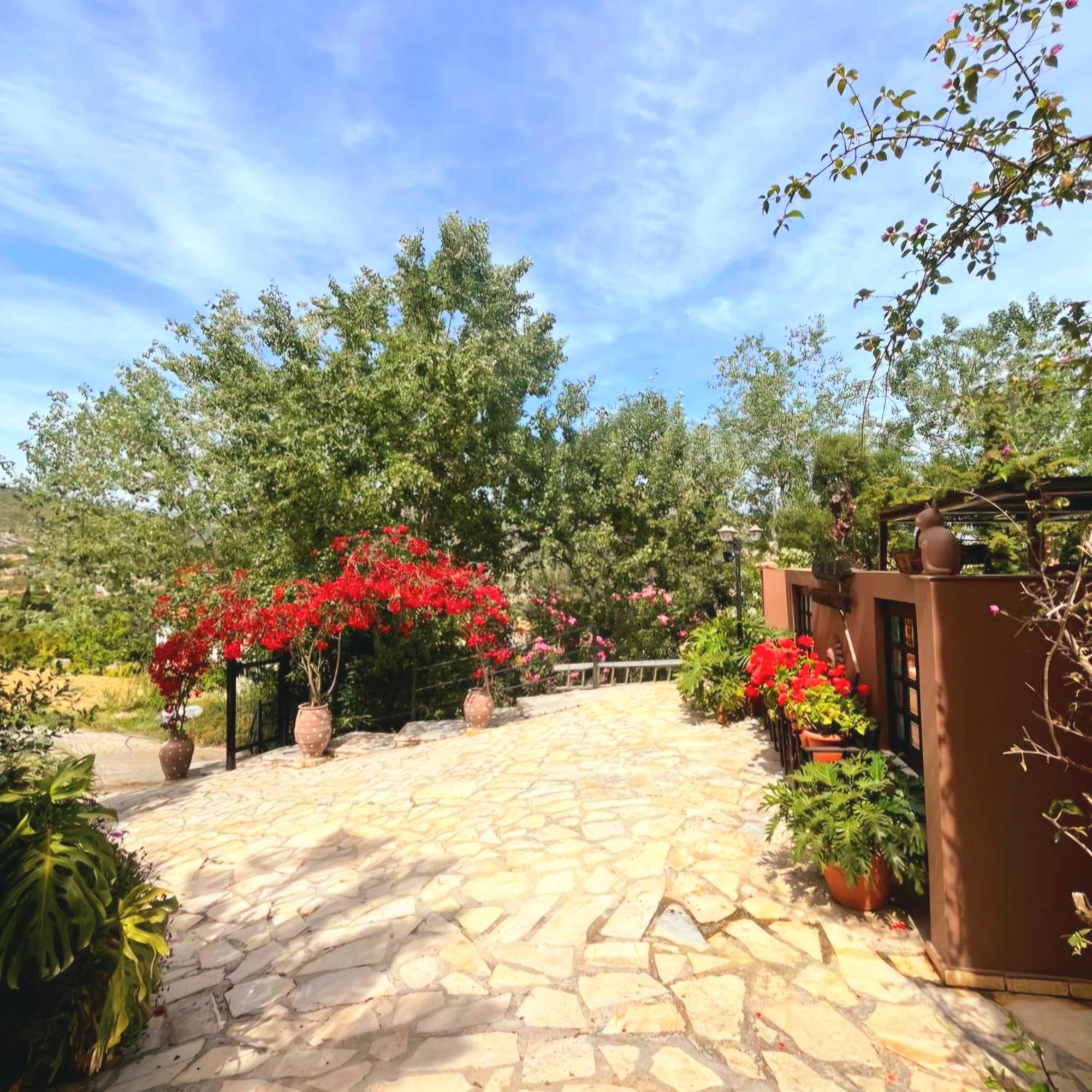 Okeanis Apartments & Suites Adults Only กาเตลิออส ภายนอก รูปภาพ